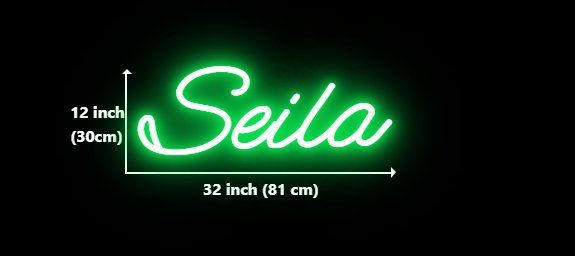 Custom Neon for Solange Borges PartyDecor